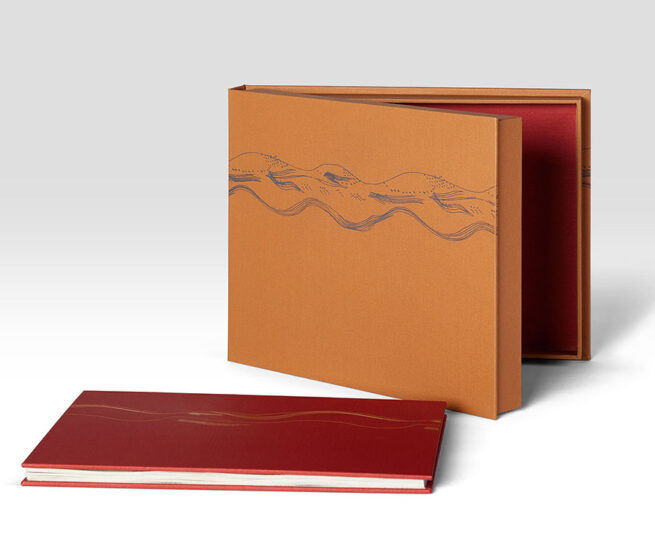 Carrie Scanga - The Assembly